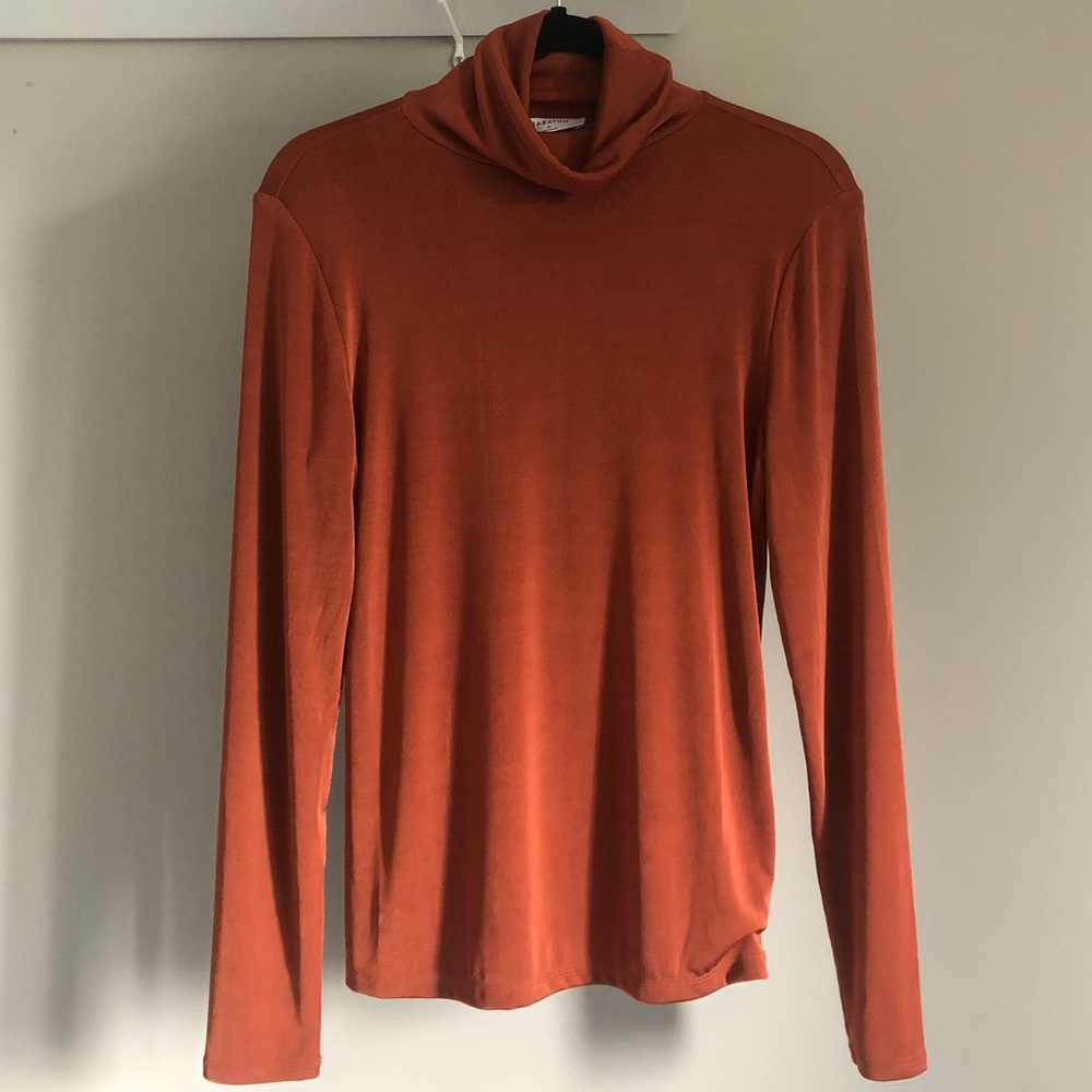 Aritzia Babaton Canary Turtleneck